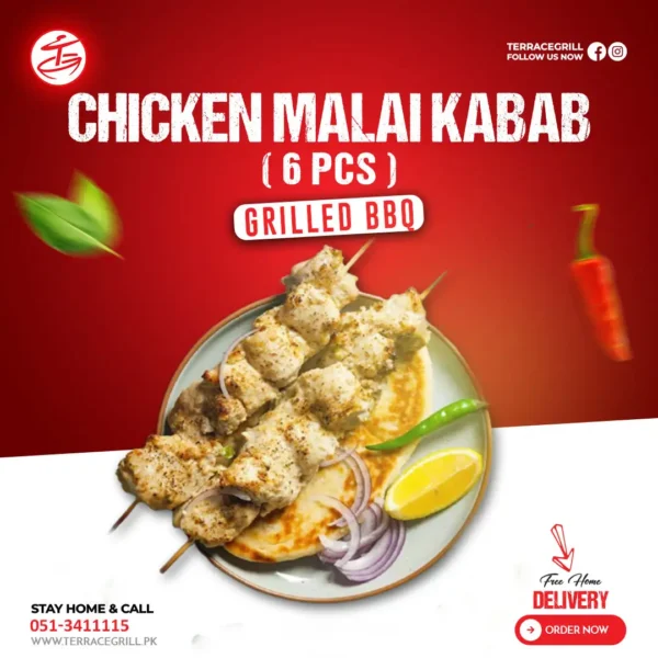 CHICKEN MALAI KABAB ( 6PCS )
